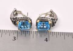 Elegant Blue Topaz Earrings In Sterling Silver