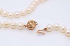 Simple Fresh Water Pearl Necklace