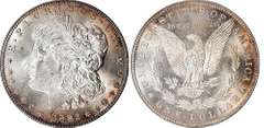 Superb BU 1882P Morgan Silver Dollar Nice Toning!