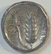 Scarce Lucania, Metapontion Greek Silver Stater, 350-330 BC