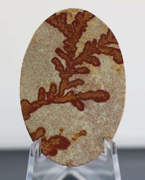 Collectors 110ct German Psilomelane Dendrite