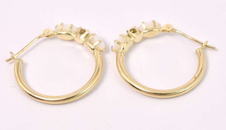 Simply Beautiful Opal Hoop Earrings In 14K Yellow Gold