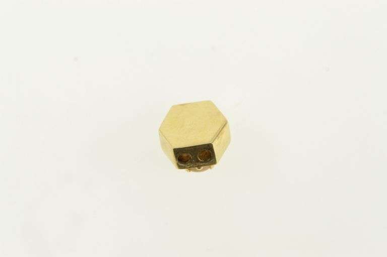 14K Yellow Gold Victorian Style Coral Slide Bracelet Charm/Pendant