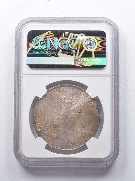 MS63 1923 Peace Silver Dollar NGC INSANE color - Toned