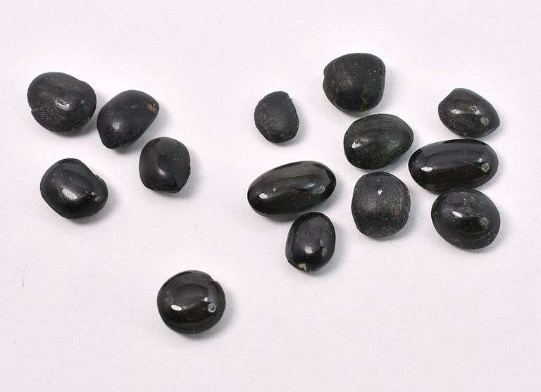 Black Star Of India Gems From Pre-Owned Jewlery