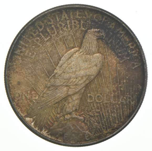 1924 Peace Silver Dollar Great Color/Toning