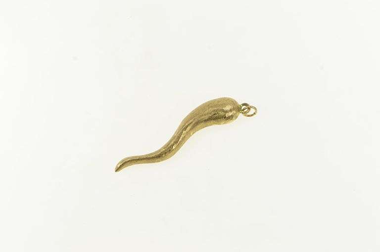14K Yellow Gold Brushed Finish Italian Horn Protection Charm/Pendant