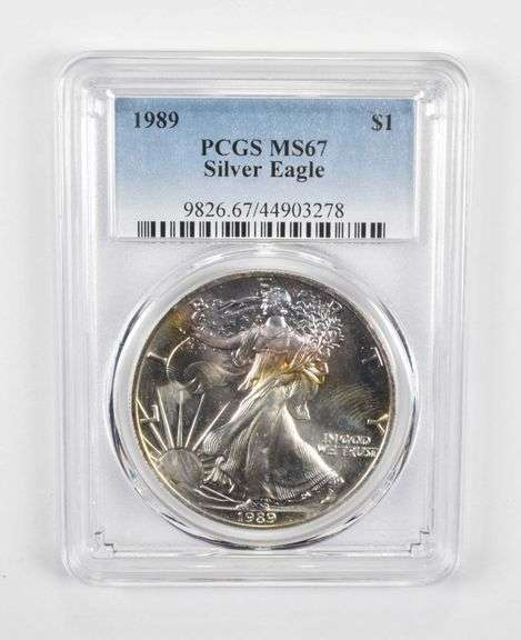 MS67 1989 American Silver Eagle - PCGS Insane Tone!
