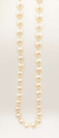 Beautiful Fresh Water Cultured Pearl Necklace