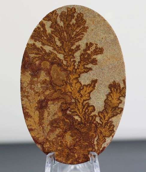 Tremendous 106.87ct German Psilomelane Dendrite