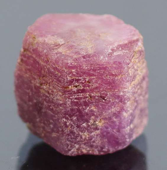 Unheated 16.61ct collectors uncut Ruby