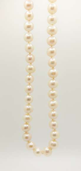 Beautiful Fresh Water Cultured Pearl Necklace