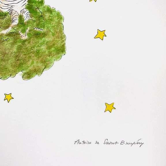 The Little Prince And The Baobabs by Antoine de Saint-Exupery