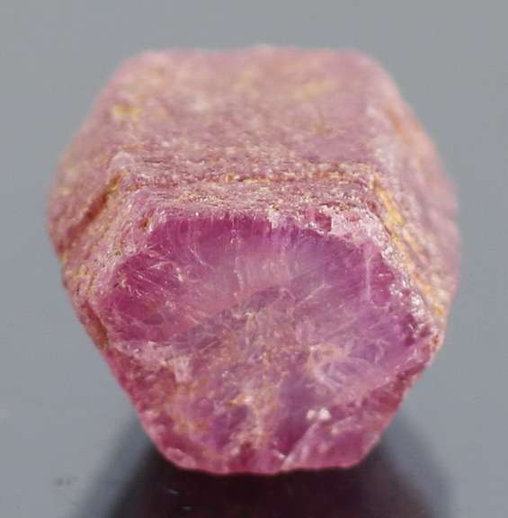 Unheated 16.61ct collectors uncut Ruby