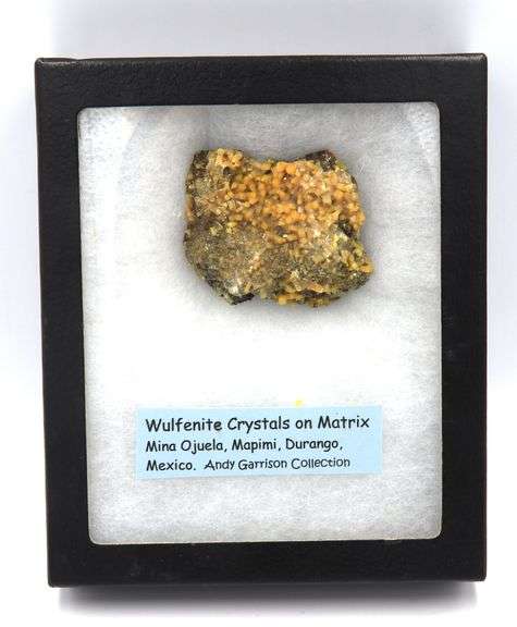 Wulfenite Crystals on Matrix Mina Ojuela