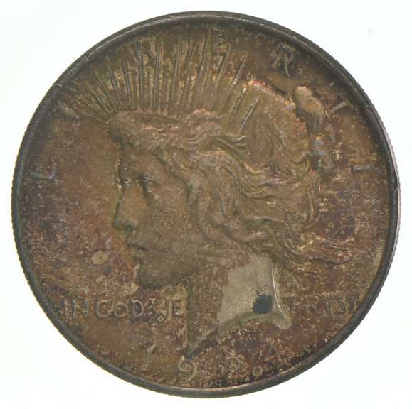 1924 Peace Silver Dollar Great Color/Toning