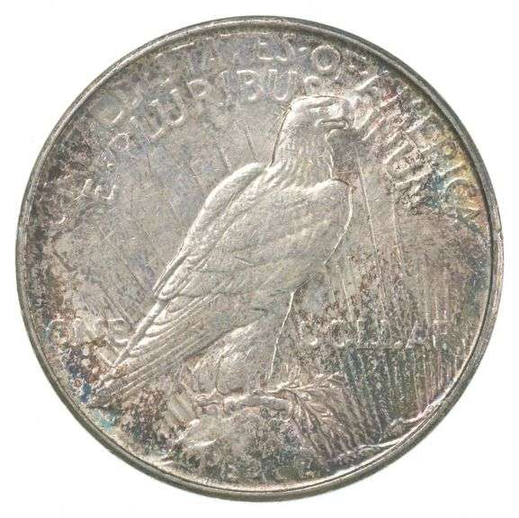 1923-D Peace Silver Dollar- Great Color/Tone