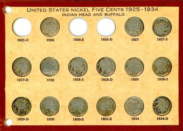 15 Different Buffalo Nickels in Wayte Raymond Display