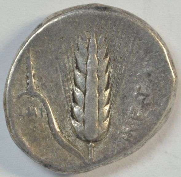 Nice Scarce LUCANIA, Metapontion Ancient Silver Stater, 350-330 BC