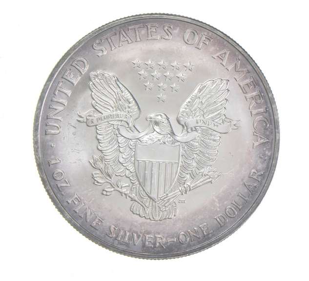 2004 American Silver Eagle - Appealing Tone