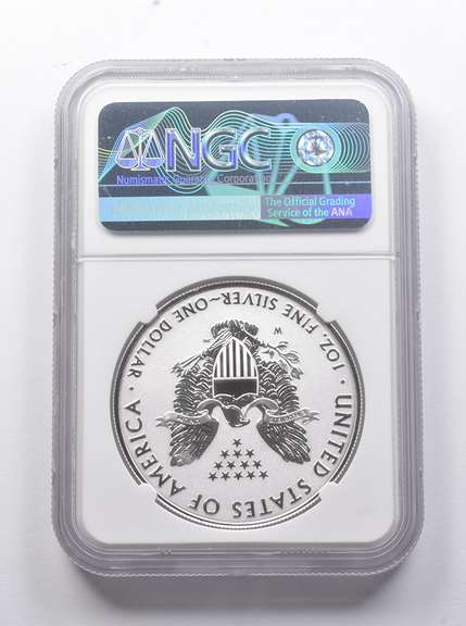Enhanced REV PF70 2019-W American Silver Eagle Pride 2 Nat. Cabral NGC