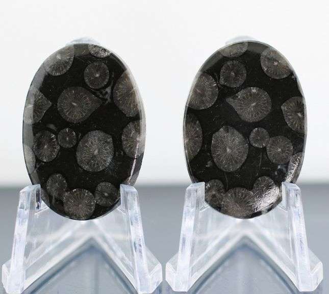 Stylish pair of 44.03ct Moroccan Black Coral