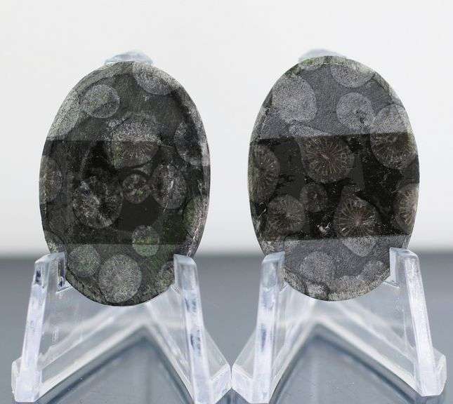 Stylish pair of 44.03ct Moroccan Black Coral