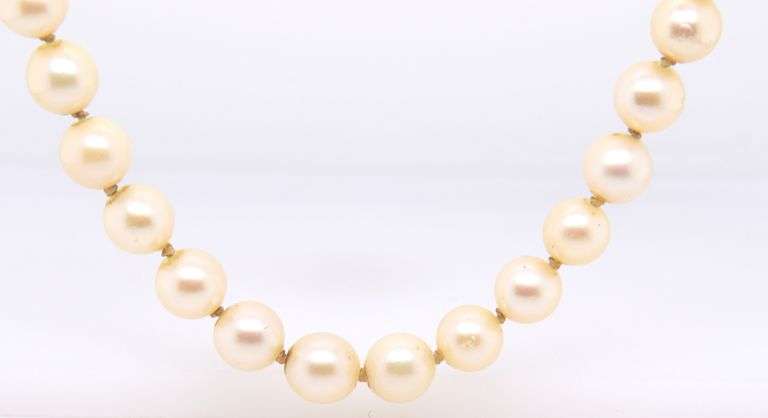 Pearl Necklace
