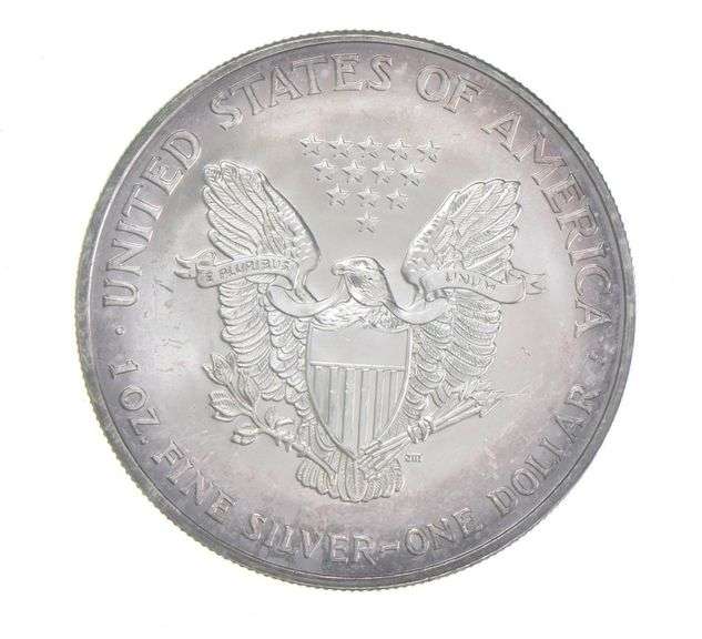 2004 American Silver Eagle - Appealing Tone