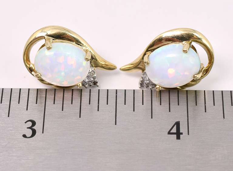 Dazzling Opal Stud Earrings In Yellow Gold