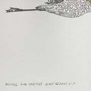 Rising Sun Sketch GZF by Azoulay Original