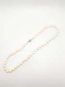 Beautiful Fresh Water Cultured Pearl Necklace