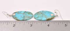 Turquoise Dangle Earrings In Sterling Silver