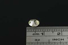 GIA 0.95 Ct Old Mine Cut N Color VS1 Diamond