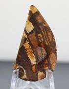 Liquid luster 31.29ct Boulder Opal