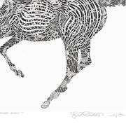 Shadow Dancer by Azoulay, Guillaume