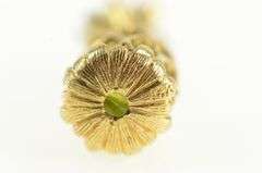 14K Yellow Gold Peridot Pineapple Hawaii Tropical Fruit Charm/Pendant