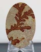 Collectors 110ct German Psilomelane Dendrite