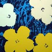 Flowers 11.72 by Warhol, Andy