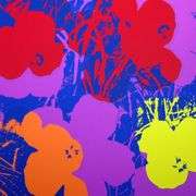 Flowers 11.66 by Warhol, Andy