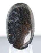 Exciting 42.56ct cabochon cut from dinosaur bone