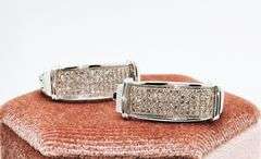 Stunning 10k White Gold Earrings with Beautiful Diamonds