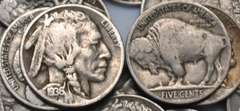 80 Unsearched Full Date Buffalo Nickels.