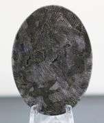 Stunning 107.04ct example of American Gabru Jasper