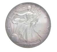 2004 American Silver Eagle - Appealing Tone