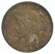 1924 Peace Silver Dollar Great Color/Toning