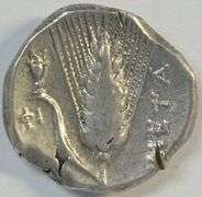 Scarce LUCANIA, Metapontion Ancient Silver Stater, 330-300 BC