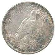 1923-D Peace Silver Dollar- Great Color/Tone