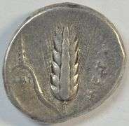 Nice Scarce LUCANIA, Metapontion Ancient Silver Stater, 350-330 BC