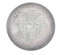 2004 American Silver Eagle - Appealing Tone